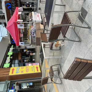고양이 주인을 찾습니다 고양이 전단지