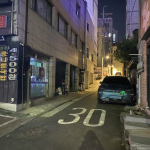 고양이 주인을 찾습니다 기타묘종 서울특별시 도봉구