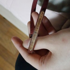 고양이 주인을 찾습니다 기타묘종 울산광역시 울주군