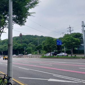 고양이 주인을 찾습니다 기타묘종 인천광역시 남동구