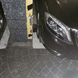 고양이 주인을 찾습니다 기타묘종 서울특별시 중랑구