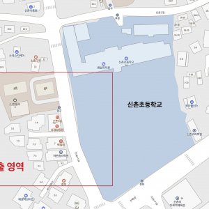고양이를 찾습니다 아비시니안 제주특별자치도 제주시