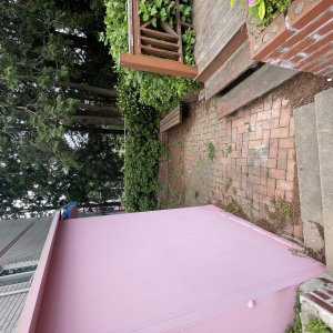 고양이 주인을 찾습니다 기타묘종 부산광역시 서구