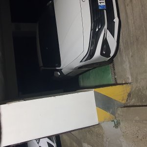 고양이 주인을 찾습니다 기타묘종 서울특별시 서초구