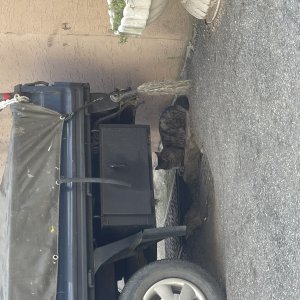 고양이 주인을 찾습니다 고양이 전단지