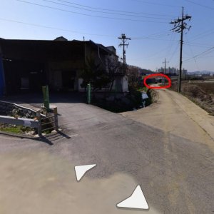 강아지 주인을 찾습니다 믹스견 충청남도 아산시