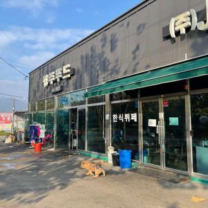 강아지 주인을 찾습니다 기타견종 광주광역시 광산구