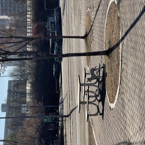 강아지 주인을 찾습니다 믹스견 서울특별시 강남구