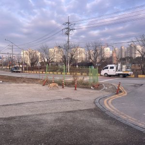 강아지 주인을 찾습니다 기타견종 충청남도 아산시
