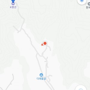 강아지 주인을 찾습니다 진돗개 충청남도 홍성군