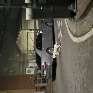 강아지 주인을 찾습니다 믹스견 경기도 용인시 기흥구