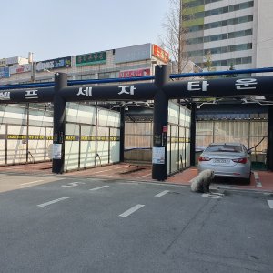 강아지 주인을 찾습니다 사모예드 충청남도 아산시