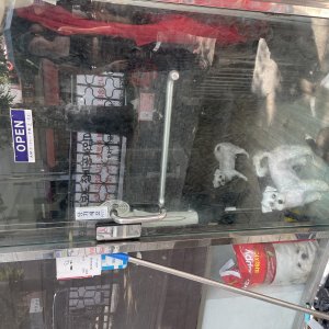 강아지 주인을 찾습니다 믹스견 서울특별시 마포구