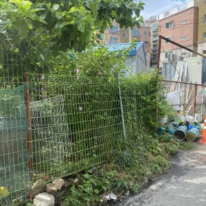 강아지 주인을 찾습니다 기타견종 경기도 고양시 덕양구