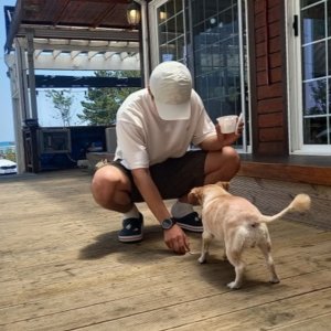 강아지를 찾습니다 믹스견 경기도 부천시 오정구