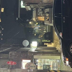 강아지 주인을 찾습니다 시츄 서울특별시 강서구