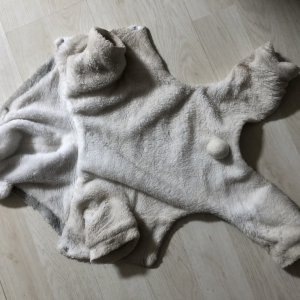 강아지 주인을 찾습니다 비숑프리제 충청남도 홍성군
