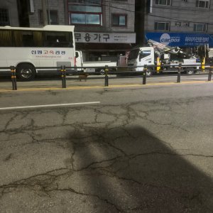 강아지 주인을 찾습니다 푸들/미니어처푸들 경기도 안산시 상록구