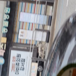강아지 주인을 찾습니다 강아지 전단지