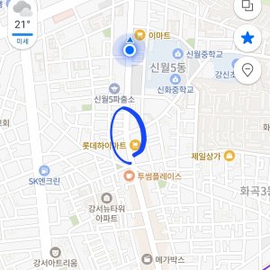 강아지 주인을 찾습니다 진돗개 서울특별시 강서구