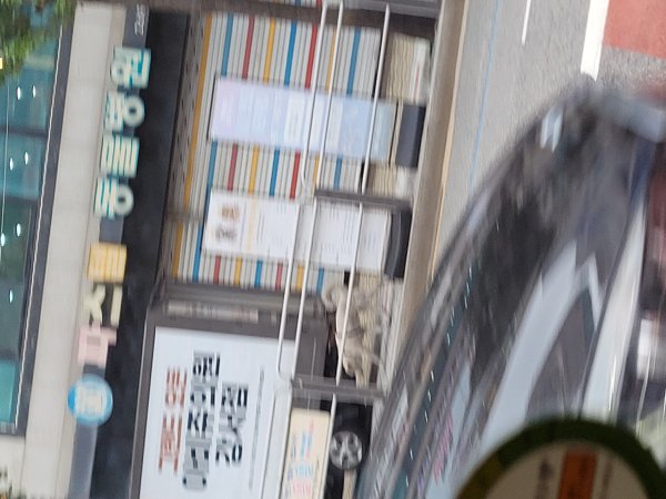 강아지를 찾습니다 강아지실종신고,보호,목격신고 : 동물보호센터