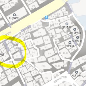 잃어버린 동물을 찾습니다 앵무새 부산광역시 중구
