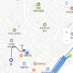 잃어버린 동물을 찾습니다 조류 서울특별시 노원구
