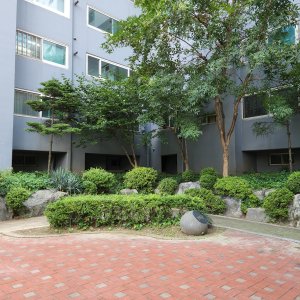 동물 주인을 찾습니다 조류 서울특별시 용산구