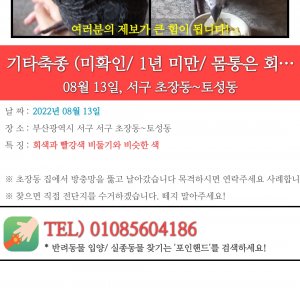 잃어버린 동물을 찾습니다 조류 부산광역시 서구