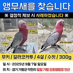 실종동물 조류 경기도 가평군